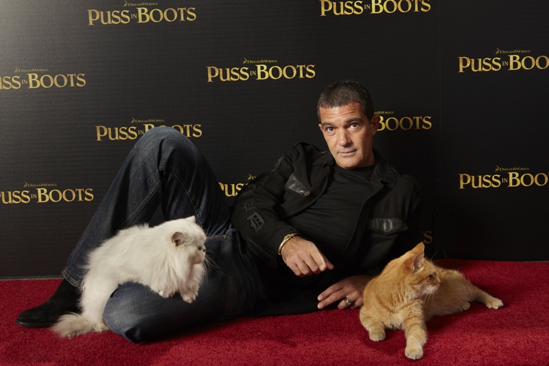 Antonio Banderas alla proiezione felina de Il Gatto con gli Stivali