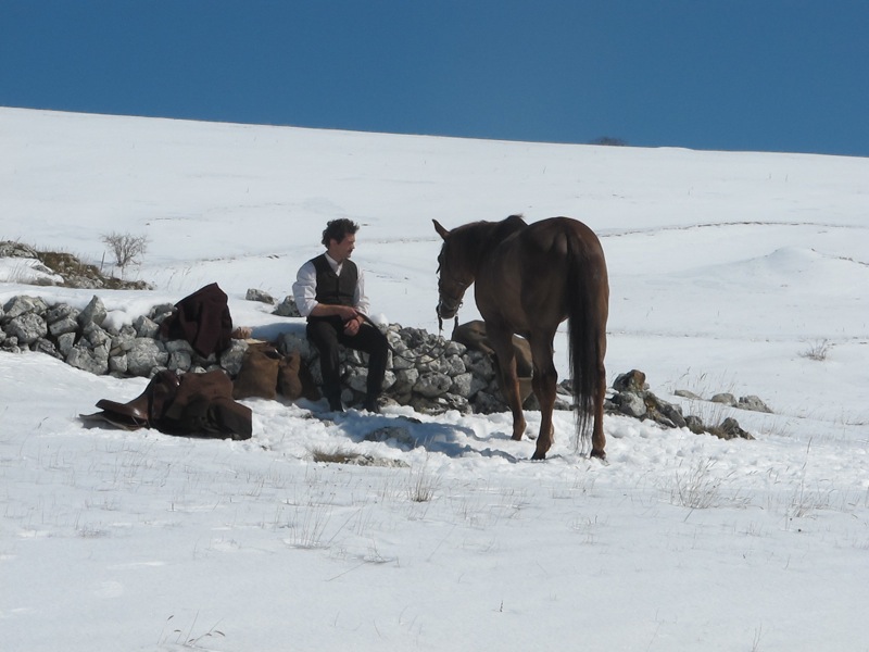 Cavalli: foto dal film