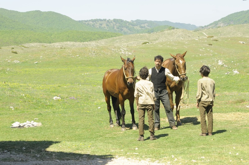 Cavalli: foto dal film