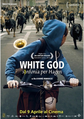 White God - Sinfonia per Hagen - Recensione