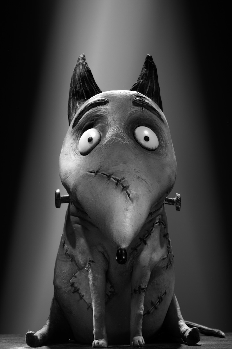 Frankenweenie: character portrait di Sparky