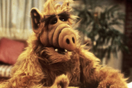 Alf, da serie tv a film