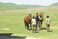 Cavalli di Michele Rho: foto, trailer e locandina