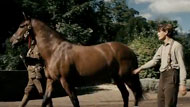 Il teaser trailer di War Horse il nuovo film di Steven Spielberg