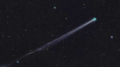 Cometa C/2025 R2 (SWAN)
