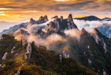 Viaggi da sogno in Corea del Sud