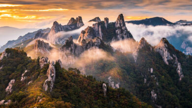 Viaggi da sogno in Corea del Sud