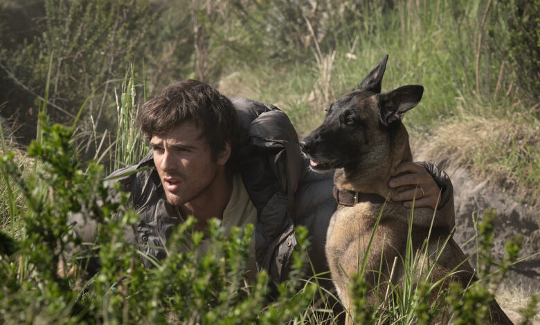The Dog Stars – Le Stelle Dopo la Fine