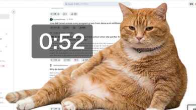 Cat Gatekeeper