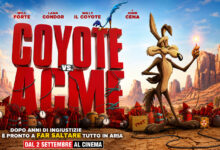 Coyote vs. Acme
