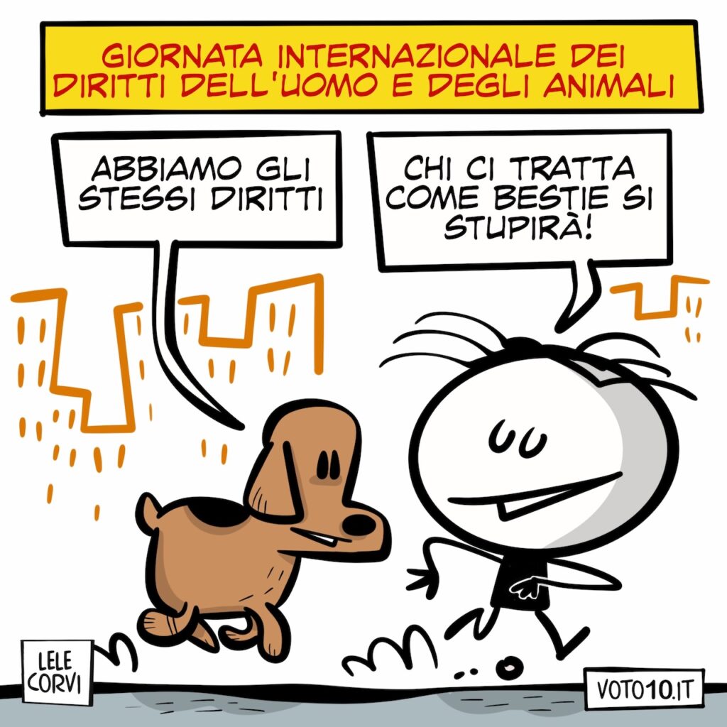 La vignetta per la Giornata Internazionale dei Diritti dell'Uomo e degli Animali