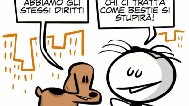 La vignetta per la Giornata Internazionale dei Diritti dell'Uomo e degli Animali