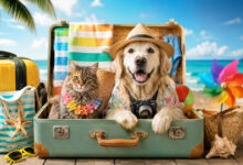 Vacanze 2026: in viaggio con il Pet