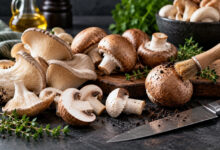 Funghi freschi champignon e pleurotus su un piano da cucina con pennello per la pulizia, coltello ed erbe aromatiche.